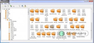 Přístup na linuxový ext2 disk ve Windows