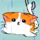 Raincat