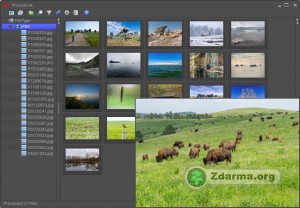 prohlížení a třídění fotografií v programu
