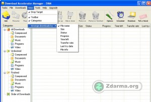 Download Accelerator Manager - hlavní okno s přehledem stahovaného