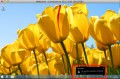 Indikace připojení ke vzdálenému PC