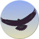 ikona Eagle Mode