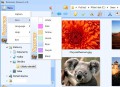 Volba vzhledu aplikace Picosmos Shows