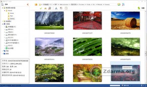 Procházení obrázků v Picosmos Tools