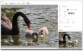 ...ale i netypická editace snímků