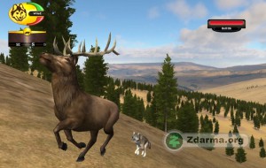 Lov losa ve hřa Wolf Quest 2.5